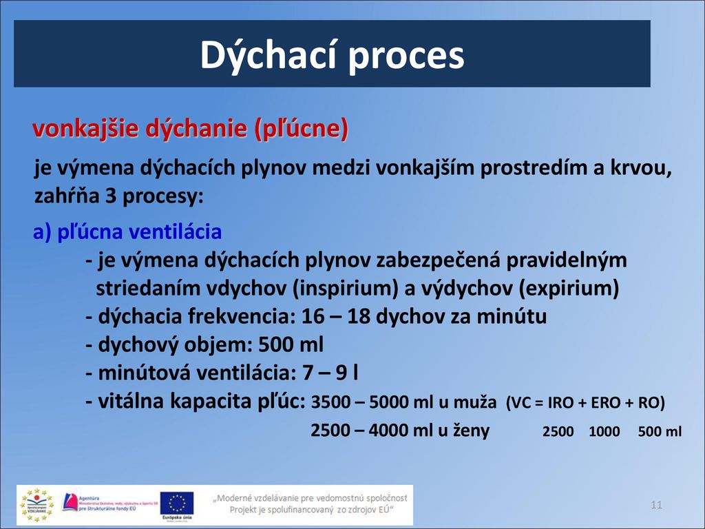 Dýchacia sústava Kód ITMS projektu ppt stáhnout